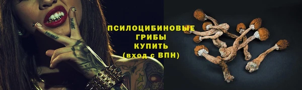 прущая мука Армянск