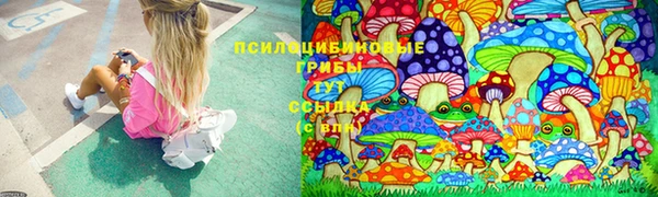 ПСИЛОЦИБИНОВЫЕ ГРИБЫ Алексеевка