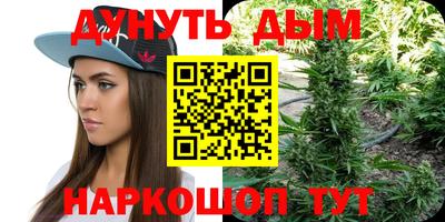 шишки Ачхой-Мартан
