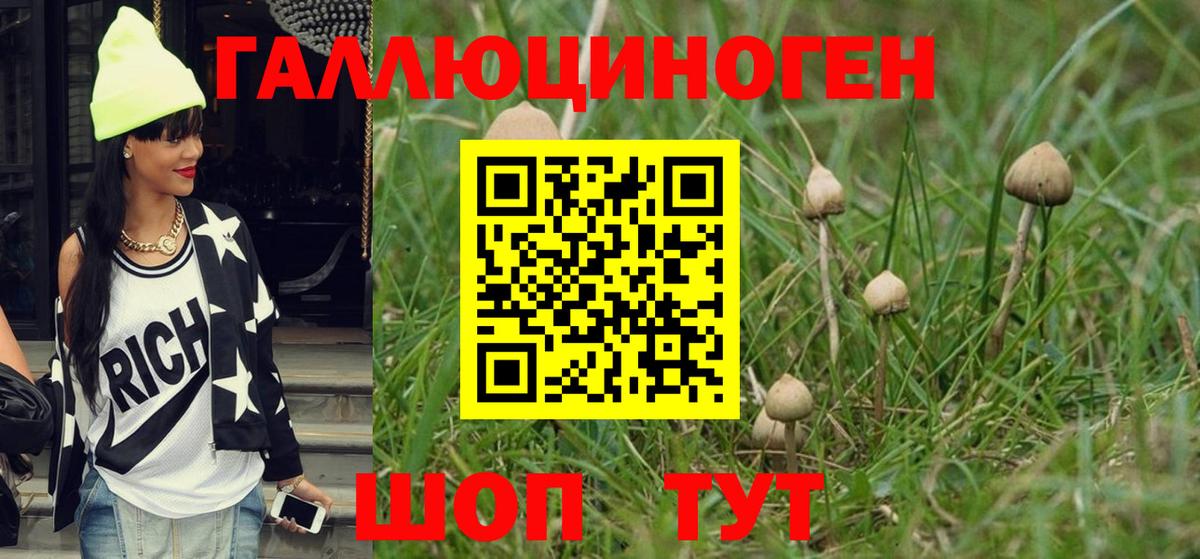 Краснотурьинск  Псилоцибиновые грибы MAGIC MUSHROOMS  Вход с VPN  Псилоцибиновые грибы мицелий 
